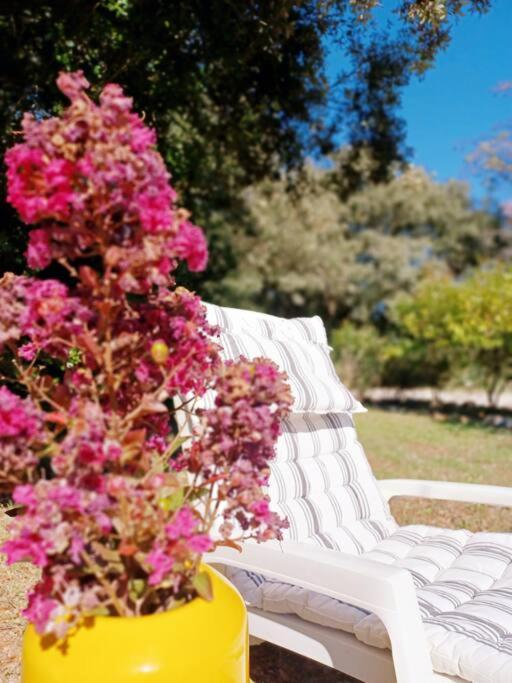 Studio Avec Jardin Entre Aix-En-Provence, Luberon Et Verdon Peyrolles-en-Provence Екстер'єр фото